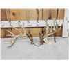 Image 1 : Set Of 239" Whitetail Shed Antlers