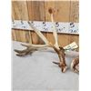 Image 3 : Set Of 233" Whitetail Shed Antlers