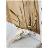 Image 3 : Freak Nontypical Double Main Beam Whitetail Antlers On Skull