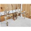 Image 2 : Set Of 199" Whitetail Shed Antlers