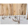 Image 1 : Group Of 4 Wild Wisconsin Whitetail Shed Antlers