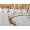 Image 5 : Group Of 4 Wild Wisconsin Whitetail Shed Antlers