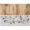 Image 1 : 16 Lbs Of Wild Iowa Whitetail Antlers