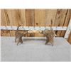 Image 4 : 33" Wide Moose Antlers On Skull Plate