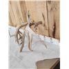 Image 8 : Set Of Big Gnarly Nontypical Texas Whitetail Shed Antlers