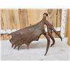 Image 5 : 14.4 Lbs Alaskan Self Standing Moose Shed Antler