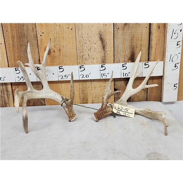 Set Of 214" Whitetail Shed Antlers