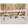 Image 1 : Set Of 214" Whitetail Shed Antlers