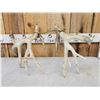 Image 6 : Set Of 214" Whitetail Shed Antlers