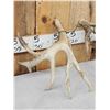 Image 7 : Set Of 214" Whitetail Shed Antlers