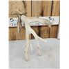 Image 8 : Set Of 214" Whitetail Shed Antlers
