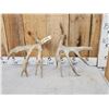 Image 5 : Main Frame 4x5 Whitetail Shed Antlers