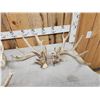Image 2 : 2 Sets & Single Whitetail Sheds Same Deer 3 Years Consecutive