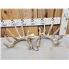 Image 1 : Set Of 194" Whitetail Shed Antlers