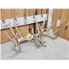 Image 2 : Set Of 194" Whitetail Shed Antlers
