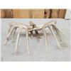 Image 5 : Set Of 194" Whitetail Shed Antlers