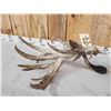 Image 2 : Big Gnarly Nontypical Texas Whitetail Shed Antler