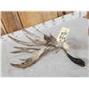 Image 5 : Big Gnarly Nontypical Texas Whitetail Shed Antler