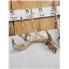 Image 2 : Set Of 194" Whitetail Shed Antlers