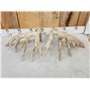 Image 6 : Heavy Mass Main Frame 6x7 Whitetail Shed Antlers