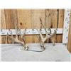 Image 1 : Set Of Main Frame 5x5 Whitetail Shed Antlers