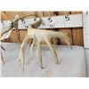 Image 6 : Set Of 200" Whitetail Shed Antlers