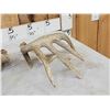 Image 5 : 6x5 Whitetail Shed Antlers