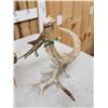 Image 9 : Set Of 258" Whitetail Shed Antlers