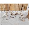 Image 4 : Set Of Big Nontypical Whitetail Shed Antlers