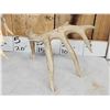 Image 5 : 5x5 Whitetail Shed Antlers With Droptine