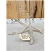 Image 2 : 4 Point Whitetail Shed Antler With Droptine