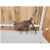 Image 5 : 12.1 Lbs Alaskan Moose Shed Antler