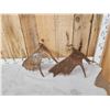 Image 5 : 6.6 Lbs Set Of Moose Shed Antlers