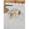 Image 12 : Group Of 4 Whitetail Shed Antlers