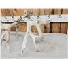 Image 5 : Set Of 230" Whitetail Shed Antlers
