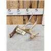 Image 2 : Main Frame 5 Point Whitetail Shed Antler
