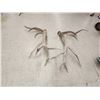 Image 10 : MONSTER 9x9 Set Of Elk Shed Antlers
