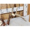 Image 2 : Set Of Wild Canadian 6x6 Whitetail Shed Antlers