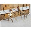 Image 6 : Set Of Wild Canadian 6x6 Whitetail Shed Antlers