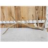 Image 1 : 9.3 Lbs Elk Shed Antler