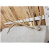 Image 2 : 9.3 Lbs Elk Shed Antler