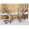 Image 1 : MONSTER Set Of 430" Whitetail Shed Antlers