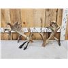Image 2 : MONSTER Set Of 430" Whitetail Shed Antlers
