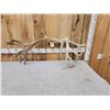 Image 4 : 10.7 Lbs Reindeer Shed Antler