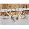 Image 1 : Set Of 218" Whitetail Shed Antlers