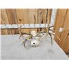 Image 4 : Rare Set Of Locked Mule Deer Antlers On Skull Plate