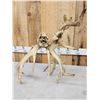 Image 11 : SCI 268 2/8" Whitetail Antlers On Skull HUGE Droptine