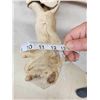 Image 15 : SCI 268 2/8" Whitetail Antlers On Skull HUGE Droptine