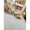 Image 4 : SCI 268 2/8" Whitetail Antlers On Skull HUGE Droptine