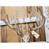 Image 8 : Crazy Nontypical Whitetail Antlers On Skull